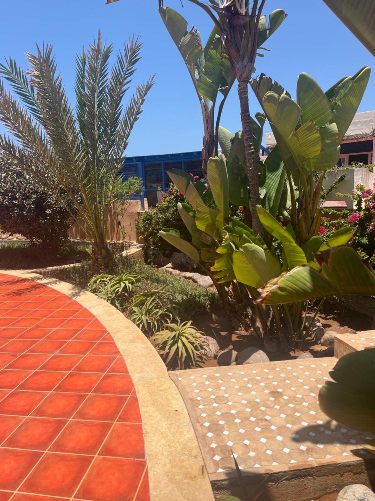 מלון מירלפט Mimid Dunes Beach מראה חיצוני תמונה